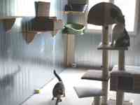 Intérieur du box commun chats